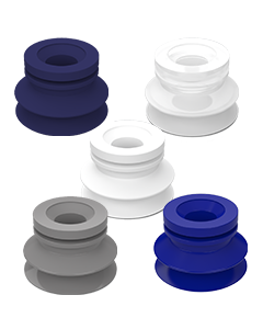 Series 8SC 1